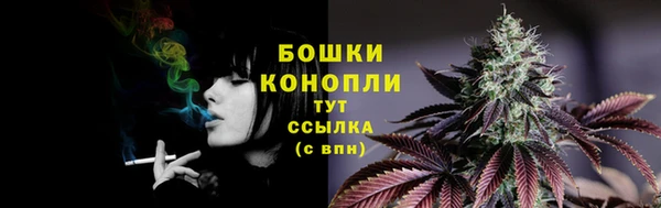 меф Невель
