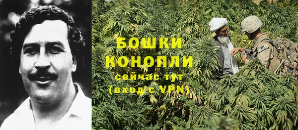 гидропоника Ростов