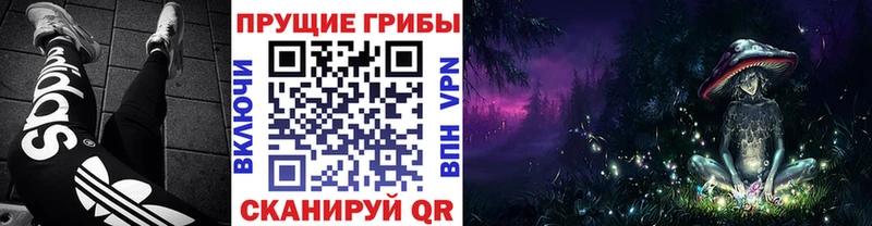 Галлюциногенные грибы Cubensis  Чулым 